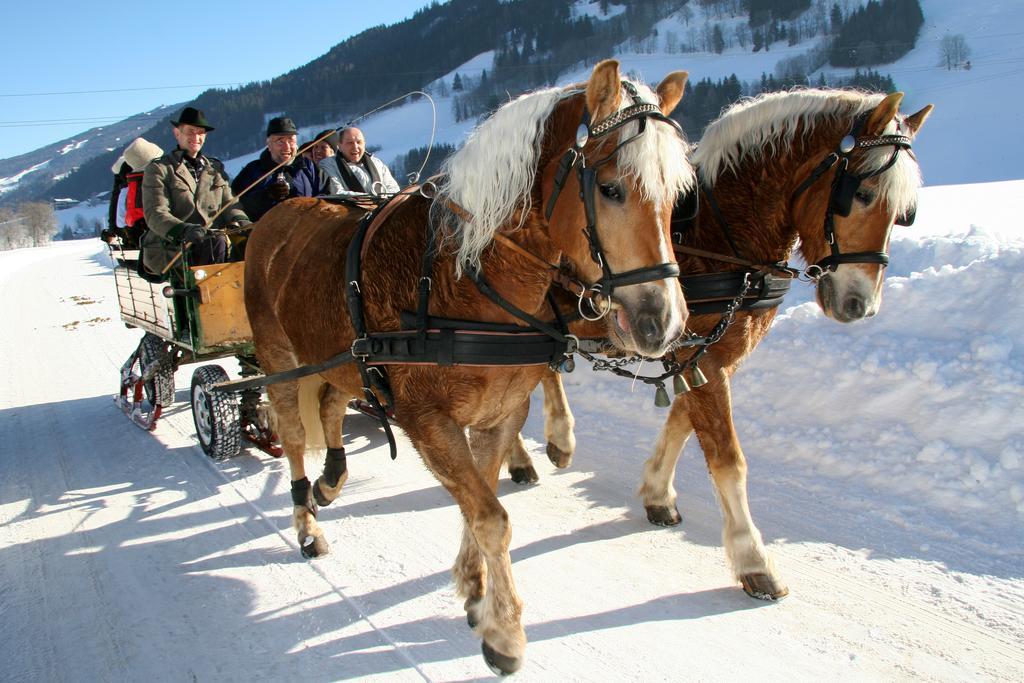 "Schoen-Urlauben" Грьобминг Екстериор снимка